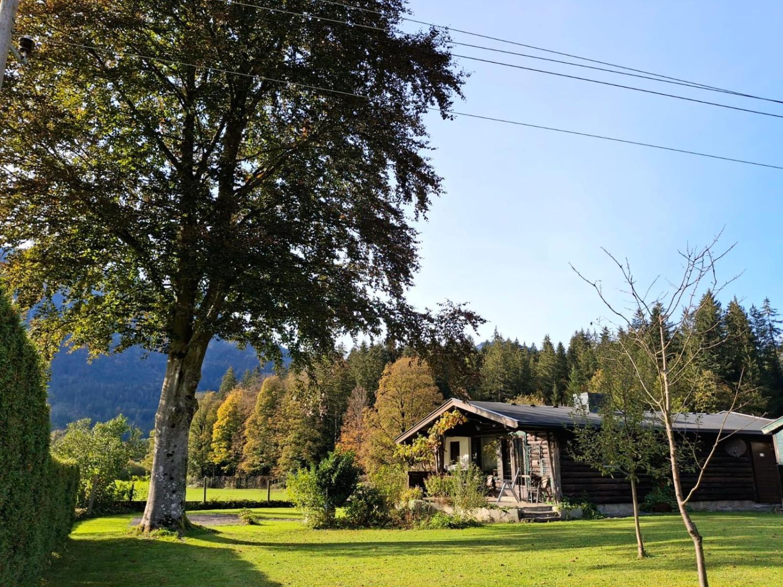 Chalet Scheffsnoth Lofer Exterior photo